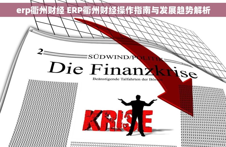 erp衢州财经 ERP衢州财经操作指南与发展趋势解析