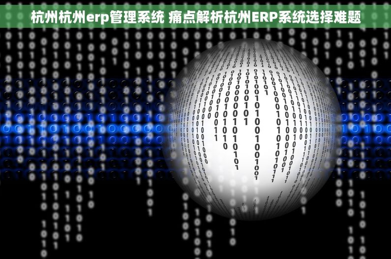 杭州杭州erp管理系统 痛点解析杭州ERP系统选择难题