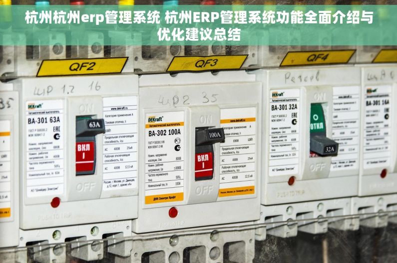 杭州杭州erp管理系统 杭州ERP管理系统功能全面介绍与优化建议总结
