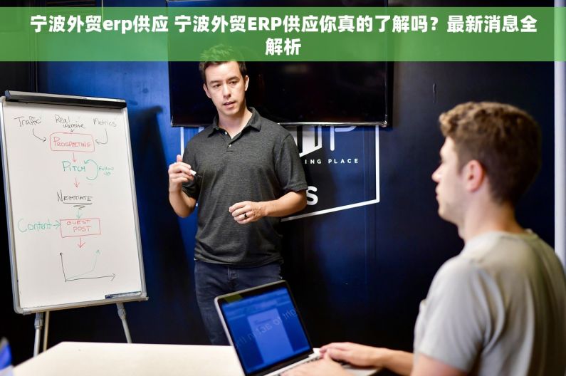宁波外贸erp供应 宁波外贸ERP供应你真的了解吗？最新消息全解析