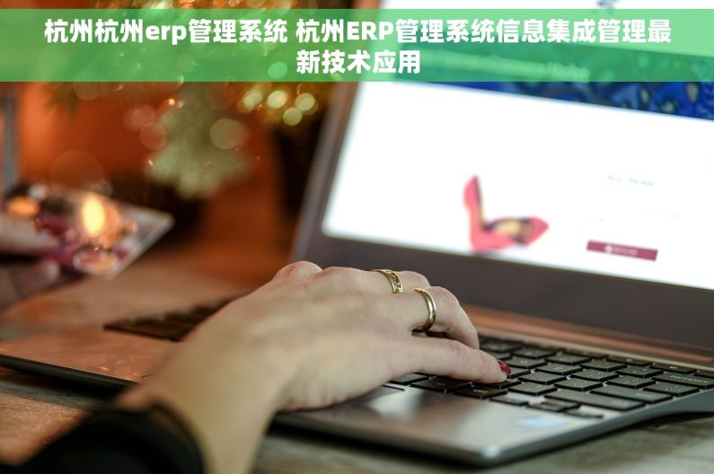 杭州杭州erp管理系统 杭州ERP管理系统信息集成管理最新技术应用