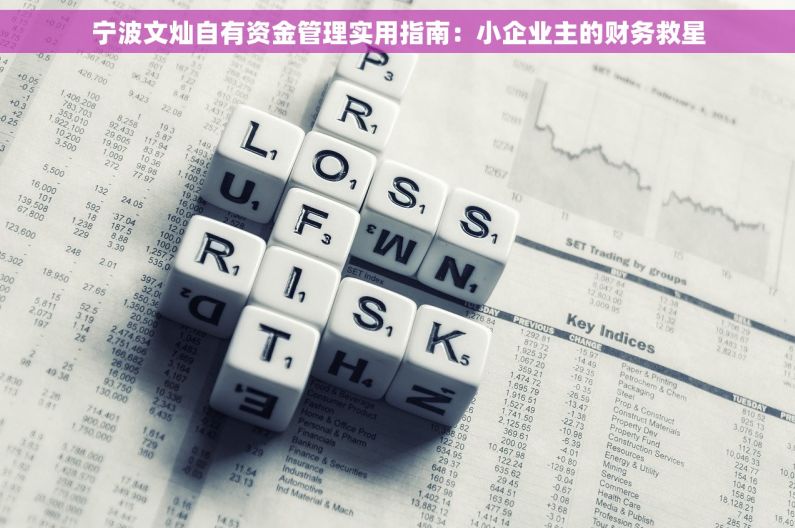 宁波文灿自有资金管理实用指南：小企业主的财务救星