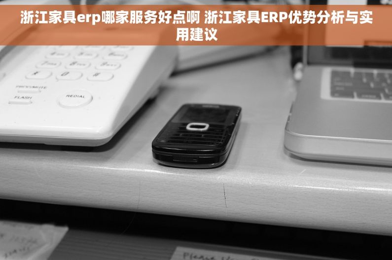 浙江家具erp哪家服务好点啊 浙江家具ERP优势分析与实用建议