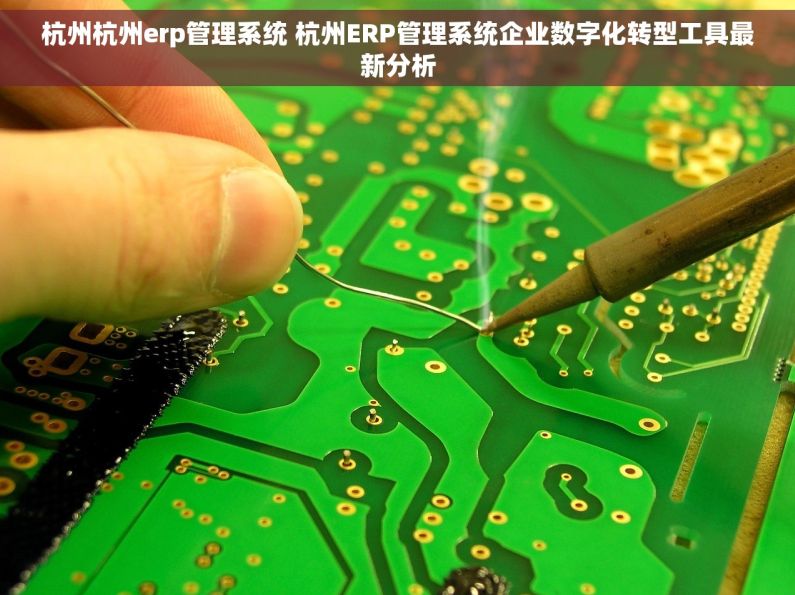 杭州杭州erp管理系统 杭州ERP管理系统企业数字化转型工具最新分析