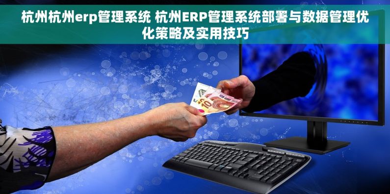 杭州杭州erp管理系统 杭州ERP管理系统部署与数据管理优化策略及实用技巧