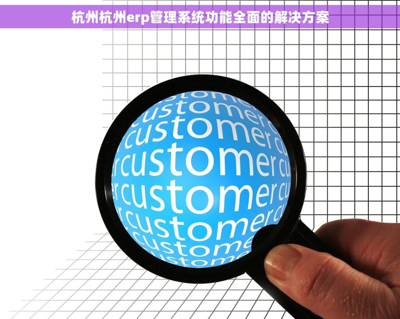 杭州杭州erp管理系统功能全面的解决方案