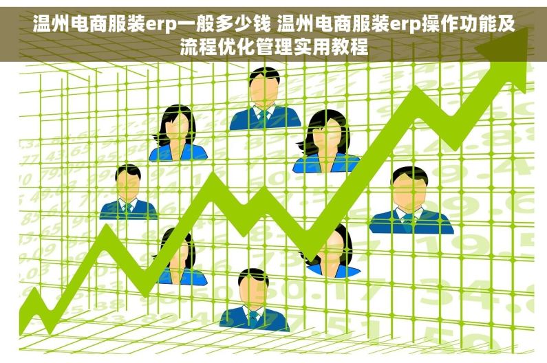 温州电商服装erp一般多少钱 温州电商服装erp操作功能及流程优化管理实用教程