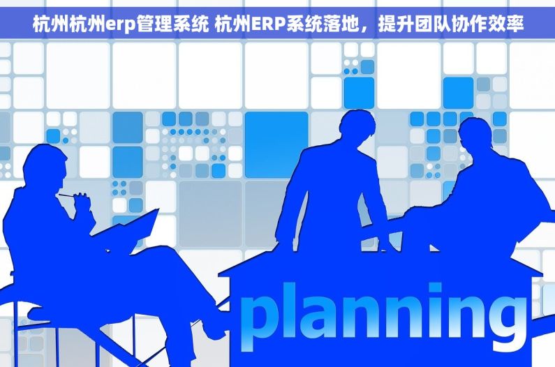 杭州杭州erp管理系统 杭州ERP系统落地，提升团队协作效率