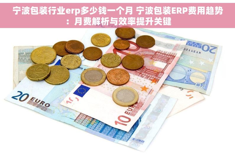 宁波包装行业erp多少钱一个月 宁波包装ERP费用趋势：月费解析与效率提升关键