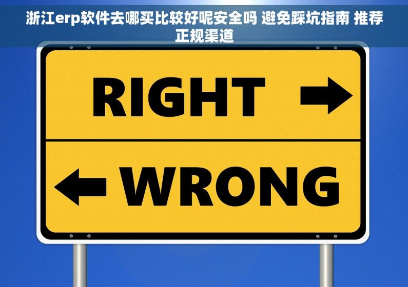 浙江erp软件去哪买比较好呢安全吗 避免踩坑指南 推荐正规渠道