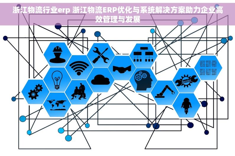 浙江物流行业erp 浙江物流ERP优化与系统解决方案助力企业高效管理与发展