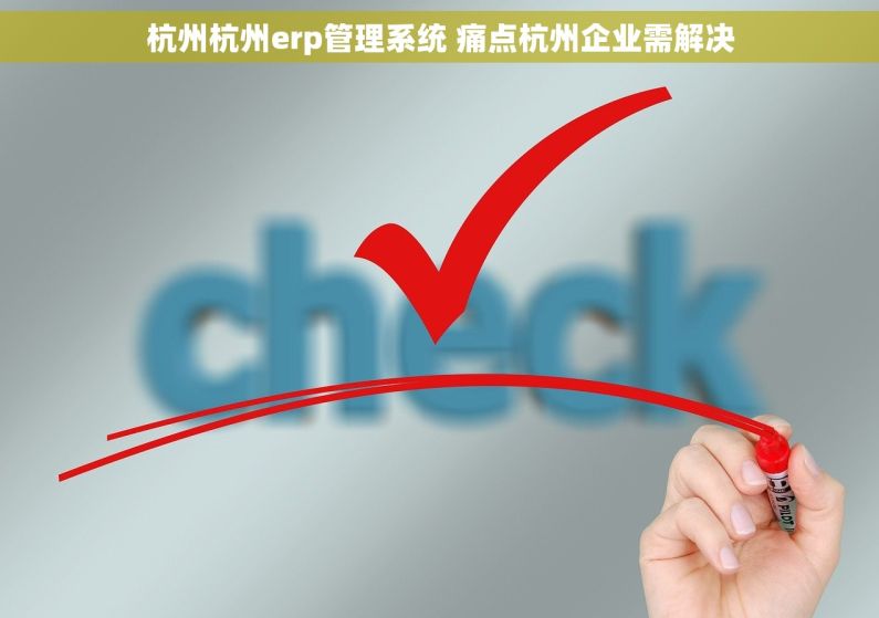 杭州杭州erp管理系统 痛点杭州企业需解决