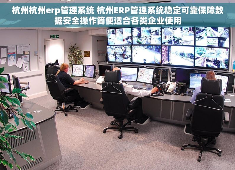 杭州杭州erp管理系统 杭州ERP管理系统稳定可靠保障数据安全操作简便适合各类企业使用