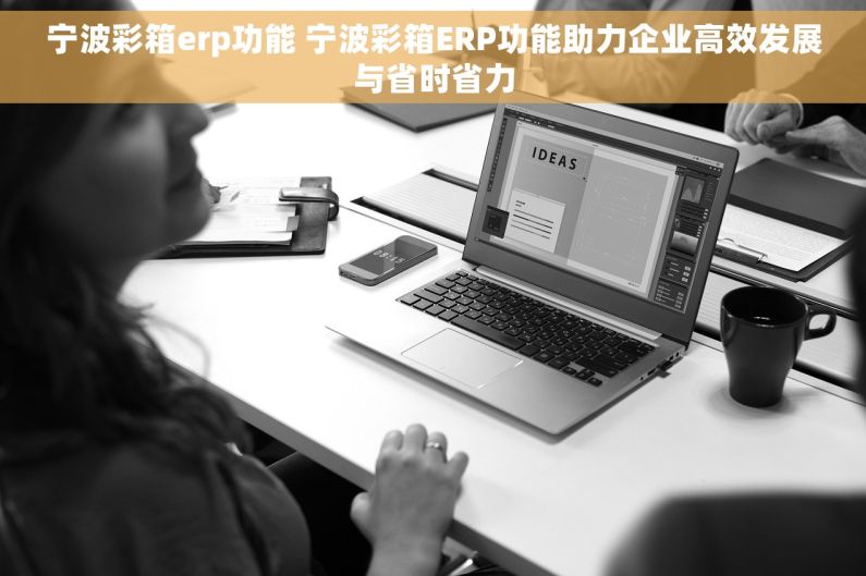 宁波彩箱erp功能 宁波彩箱ERP功能助力企业高效发展与省时省力