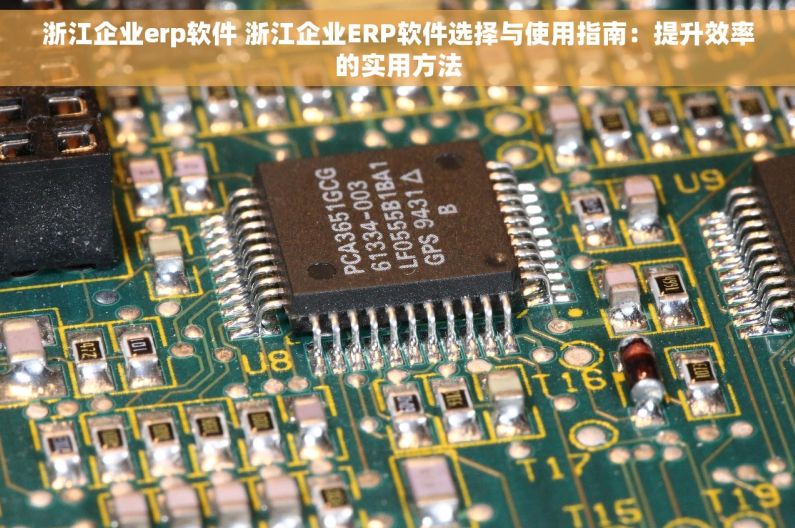 浙江企业erp软件 浙江企业ERP软件选择与使用指南：提升效率的实用方法