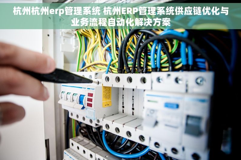杭州杭州erp管理系统 杭州ERP管理系统供应链优化与业务流程自动化解决方案