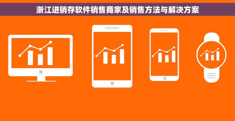 浙江进销存软件销售商家及销售方法与解决方案