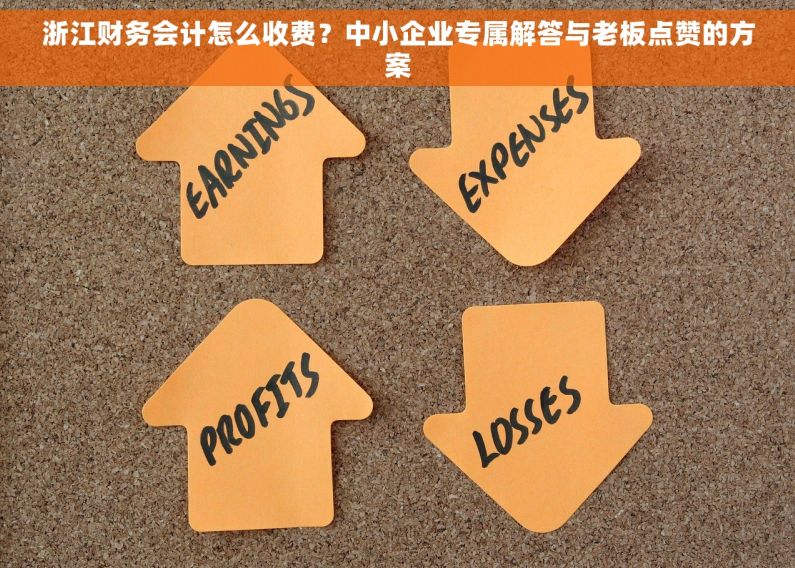 浙江财务会计怎么收费？中小企业专属解答与老板点赞的方案