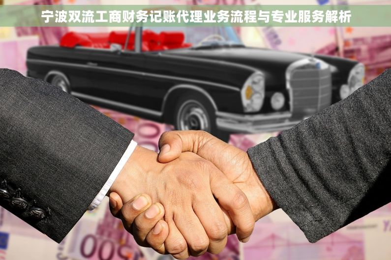 宁波双流工商财务记账代理业务流程与专业服务解析