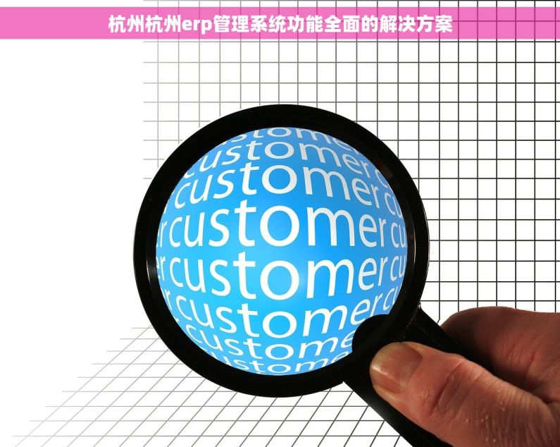 杭州杭州erp管理系统功能全面的解决方案
