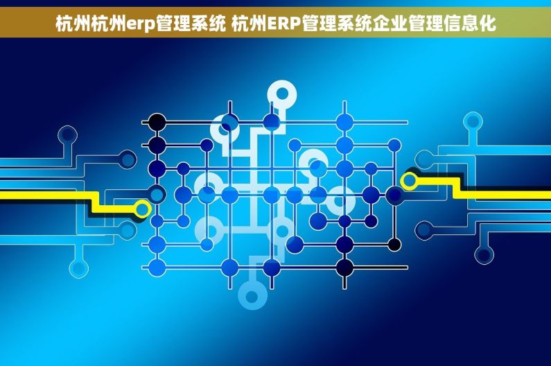 杭州杭州erp管理系统 杭州ERP管理系统企业管理信息化