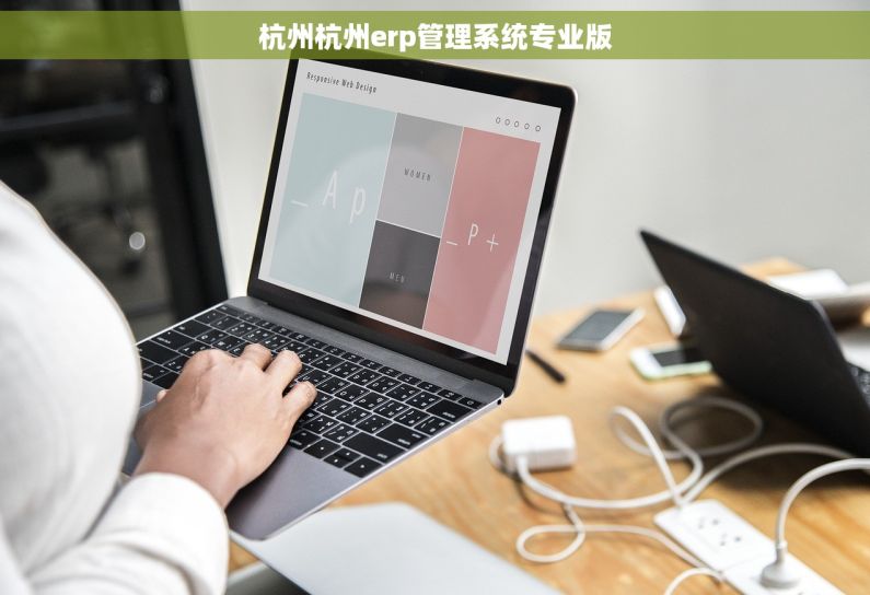 杭州杭州erp管理系统专业版