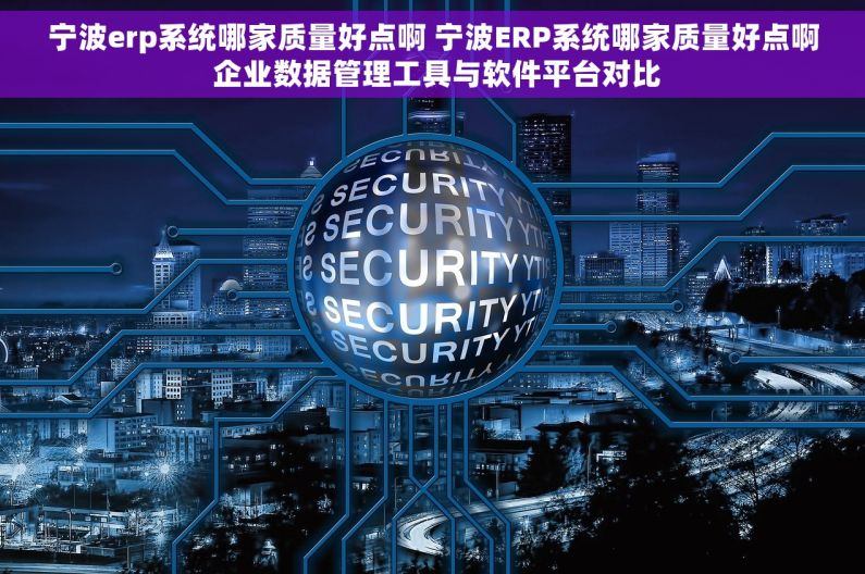 宁波erp系统哪家质量好点啊 宁波ERP系统哪家质量好点啊 企业数据管理工具与软件平台对比