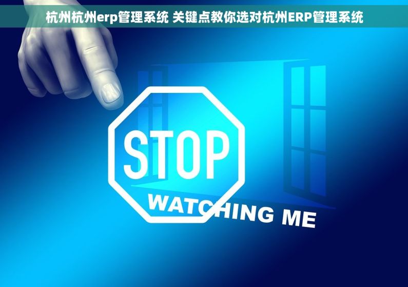 杭州杭州erp管理系统 关键点教你选对杭州ERP管理系统