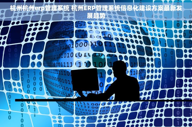 杭州杭州erp管理系统 杭州ERP管理系统信息化建设方案最新发展趋势