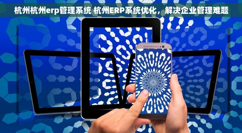 杭州杭州erp管理系统 杭州ERP系统优化，解决企业管理难题