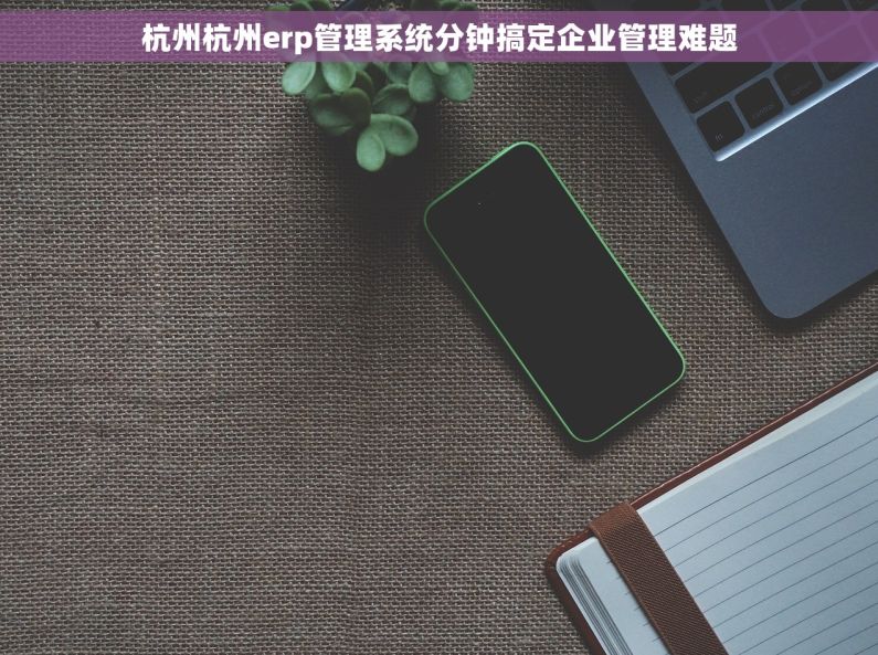 杭州杭州erp管理系统分钟搞定企业管理难题