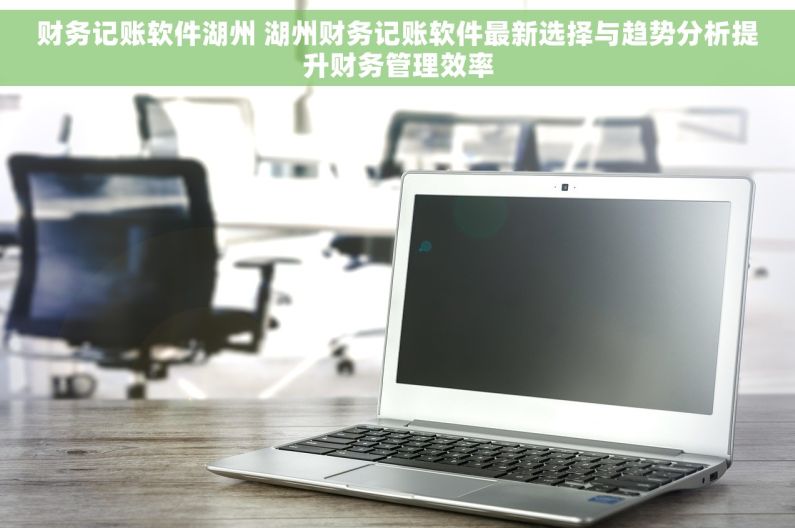 财务记账软件湖州 湖州财务记账软件最新选择与趋势分析提升财务管理效率
