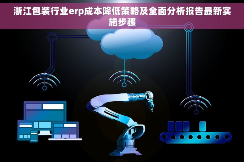浙江包装行业erp成本降低策略及全面分析报告最新实施步骤