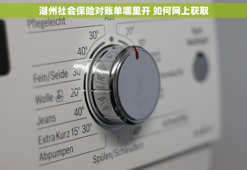 湖州社会保险对账单哪里开 如何网上获取