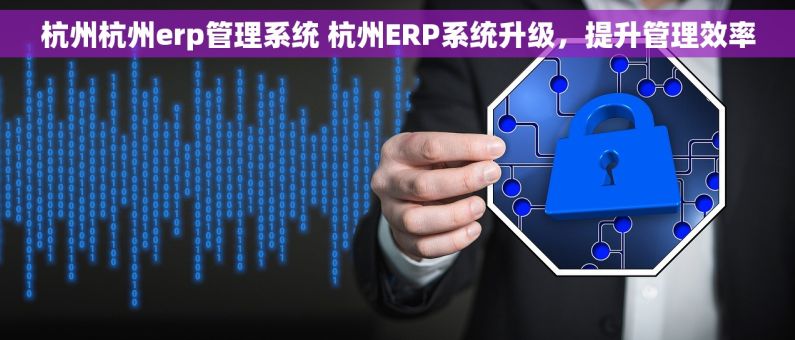 杭州杭州erp管理系统 杭州ERP系统升级，提升管理效率