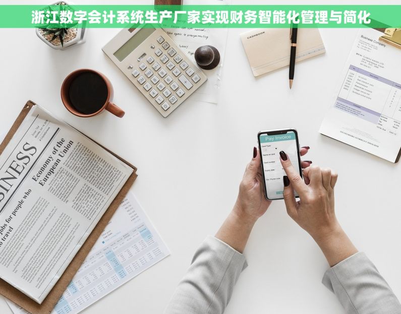 浙江数字会计系统生产厂家实现财务智能化管理与简化