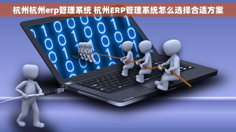 杭州杭州erp管理系统 杭州ERP管理系统怎么选择合适方案