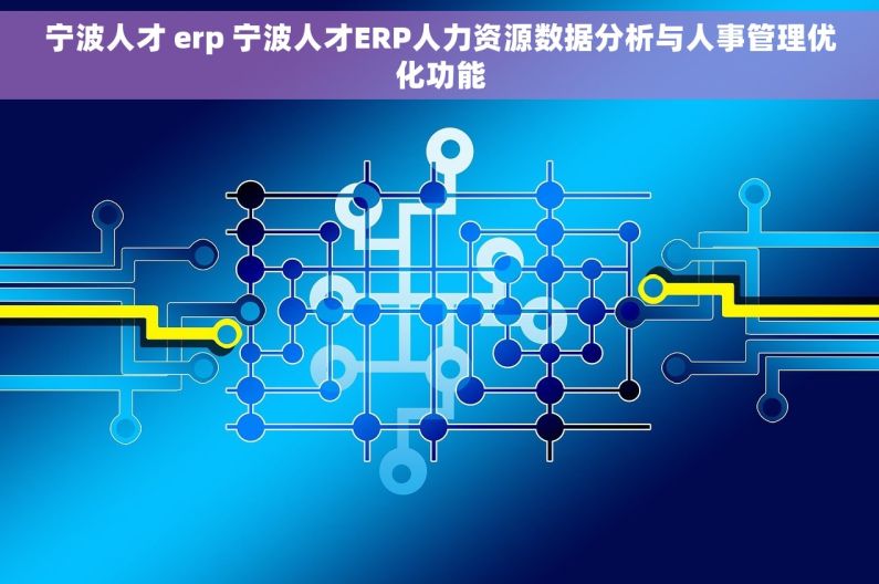 宁波人才 erp 宁波人才ERP人力资源数据分析与人事管理优化功能