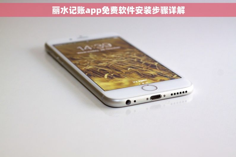 丽水记账app免费软件安装步骤详解