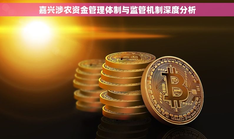 嘉兴涉农资金管理体制与监管机制深度分析