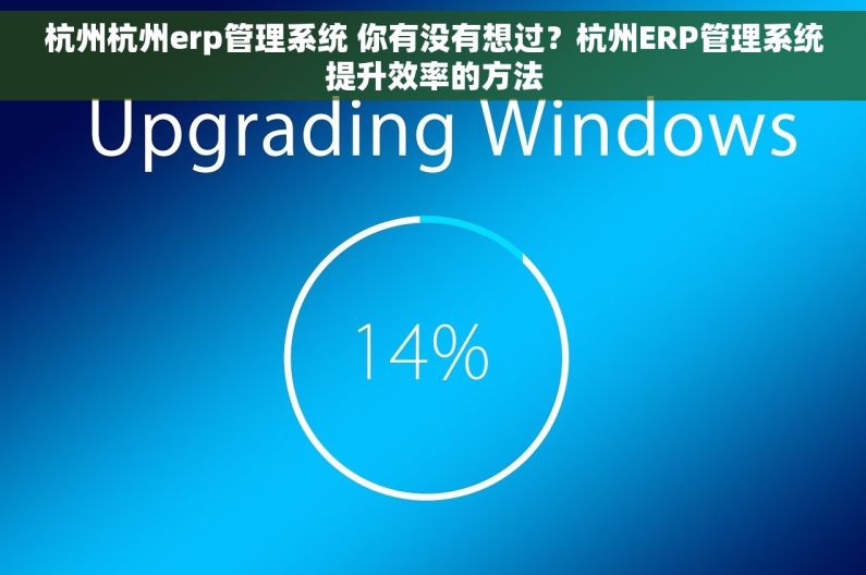 杭州杭州erp管理系统 你有没有想过？杭州ERP管理系统提升效率的方法