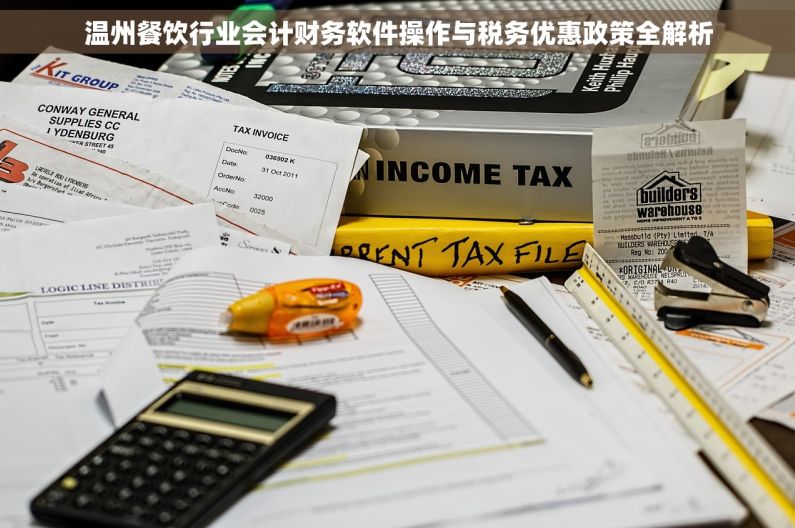 温州餐饮行业会计财务软件操作与税务优惠政策全解析