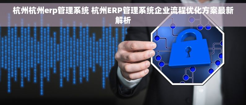 杭州杭州erp管理系统 杭州ERP管理系统企业流程优化方案最新解析