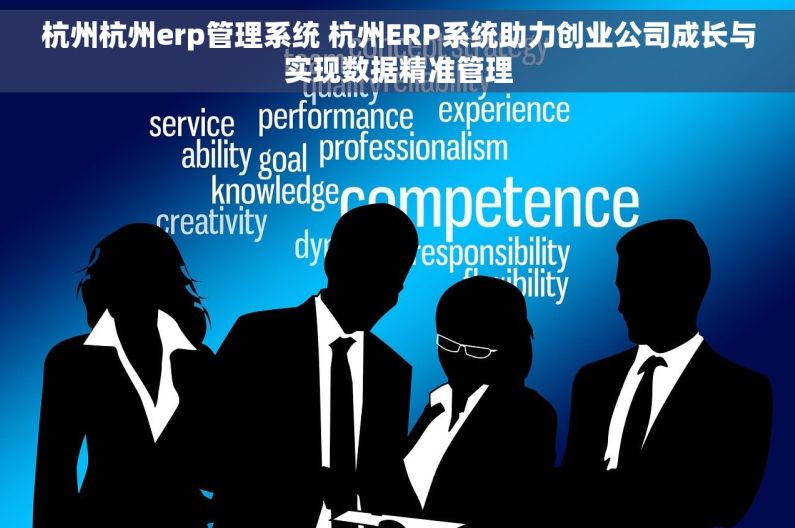 杭州杭州erp管理系统 杭州ERP系统助力创业公司成长与实现数据精准管理