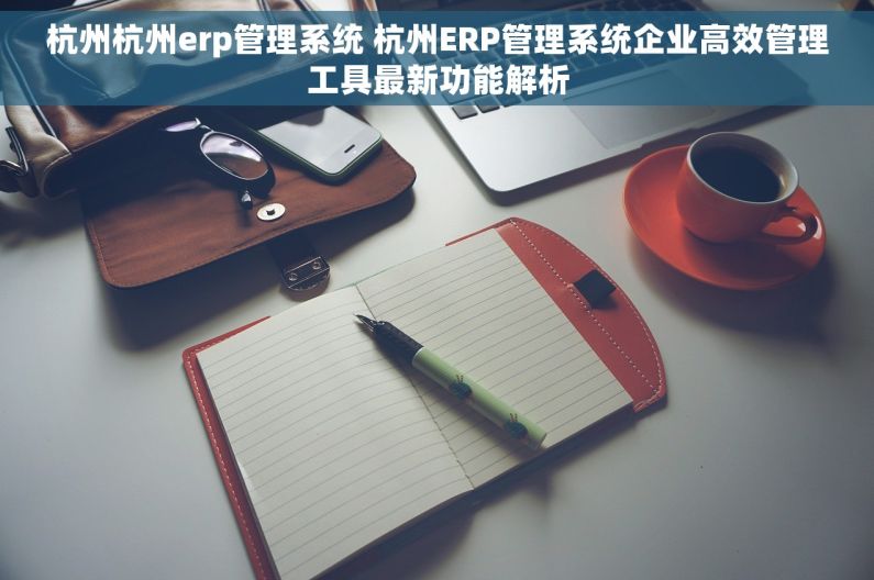 杭州杭州erp管理系统 杭州ERP管理系统企业高效管理工具最新功能解析