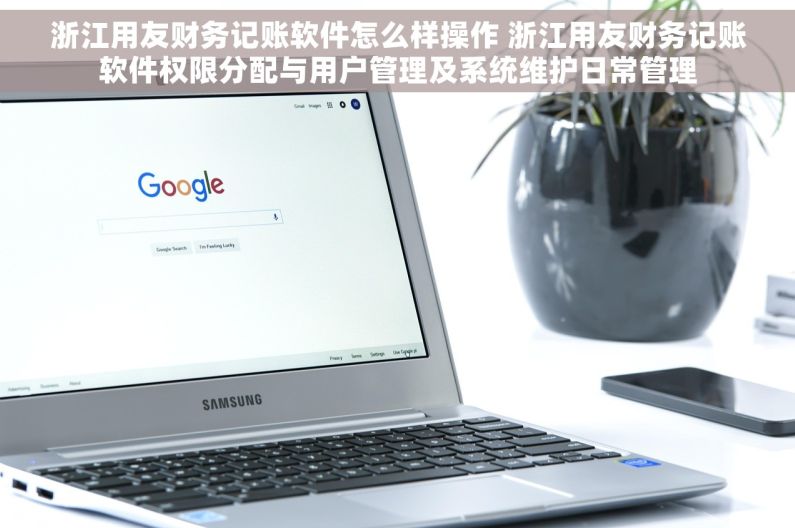 浙江用友财务记账软件怎么样操作 浙江用友财务记账软件权限分配与用户管理及系统维护日常管理