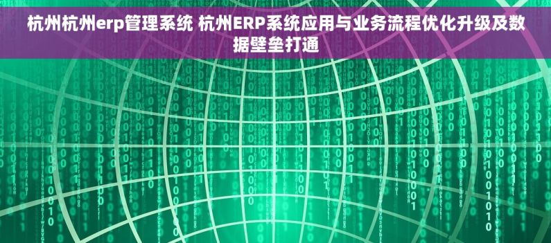 杭州杭州erp管理系统 杭州ERP系统应用与业务流程优化升级及数据壁垒打通