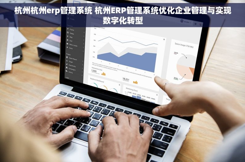 杭州杭州erp管理系统 杭州ERP管理系统优化企业管理与实现数字化转型