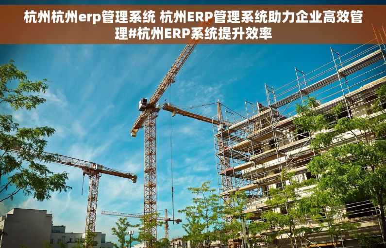 杭州杭州erp管理系统 杭州ERP管理系统助力企业高效管理#杭州ERP系统提升效率