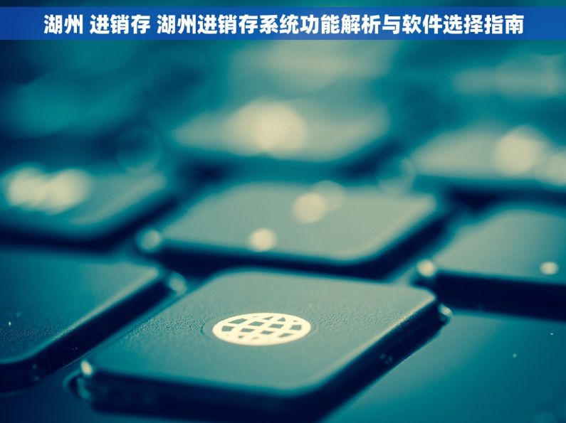 湖州 进销存 湖州进销存系统功能解析与软件选择指南